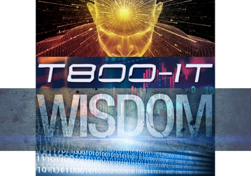 Programa Integral de Dirección de Proyectos