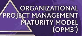 Organizational Project Management Maturity Model (OPM3®)