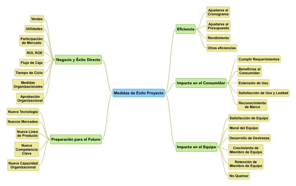 Medidas de Éxito en Proyectos