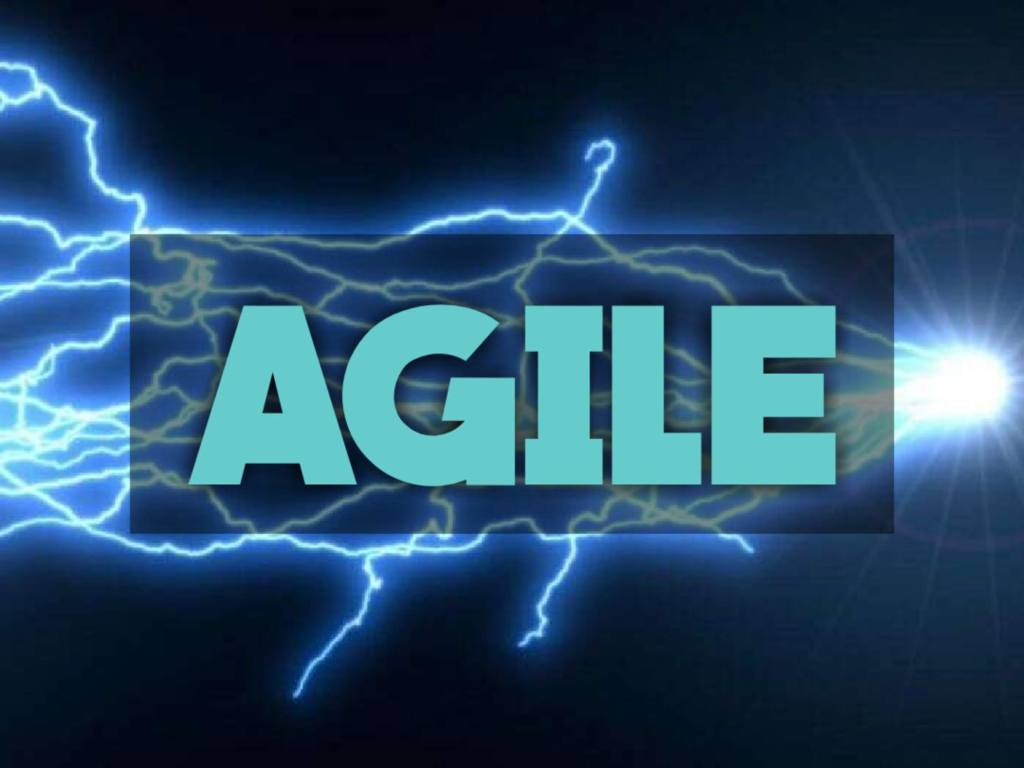 Agile - Project Management Hall of Fame Category