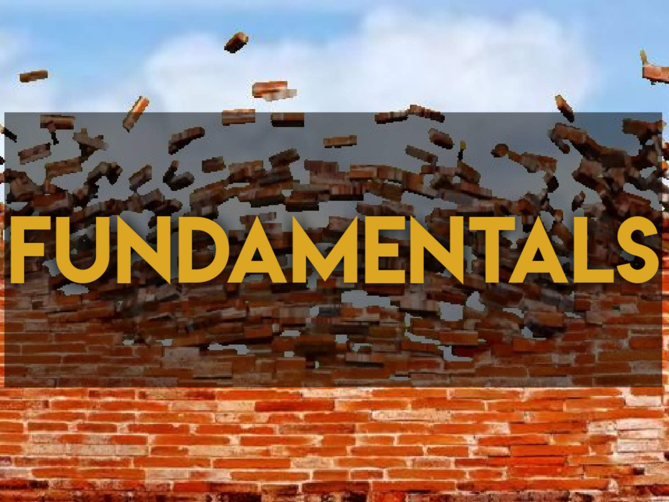 Fundamentals - Project Management Hall of Fame Category