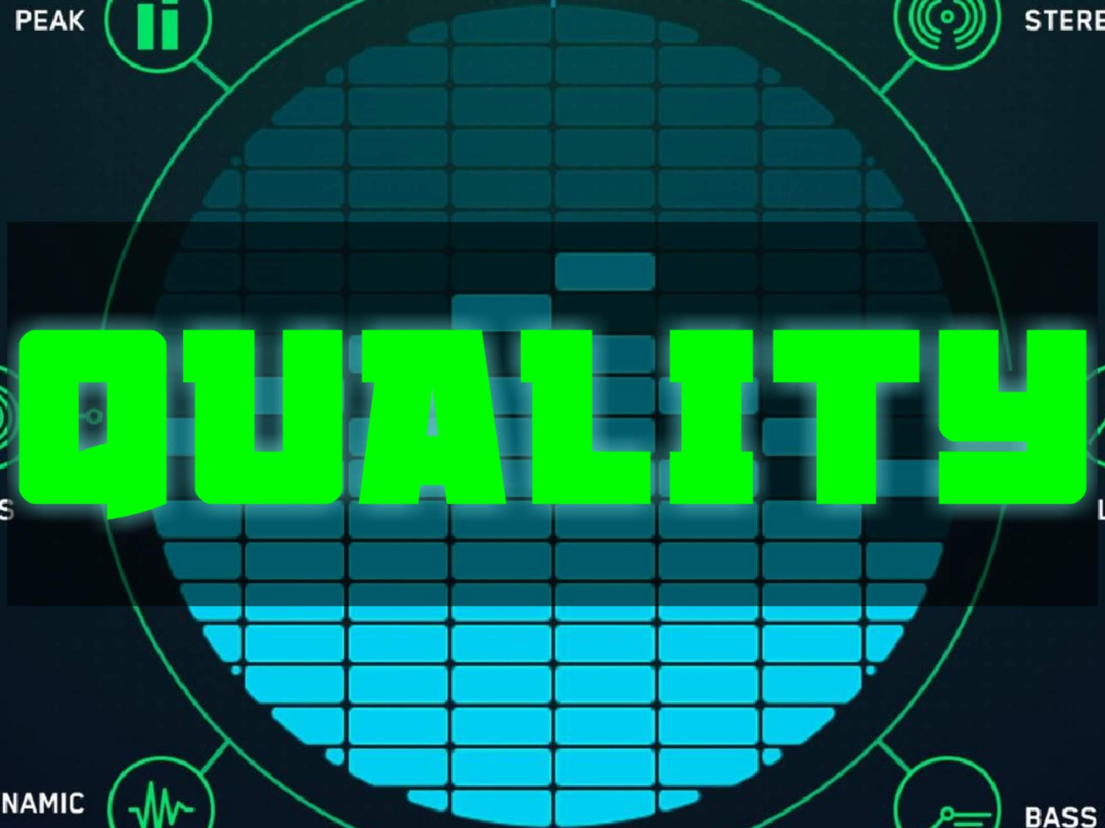 Quality - Project Management Hall of Fame Category